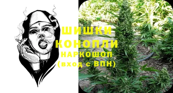 сатива Балабаново