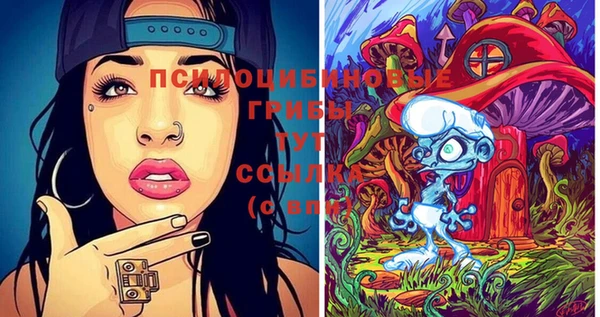 дмт Балахна